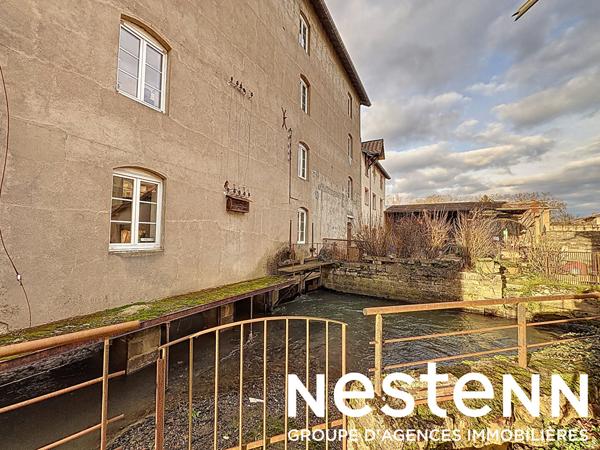 A vendre : Ancien moulin comprenant 2 logements - PONT DE VEYLE