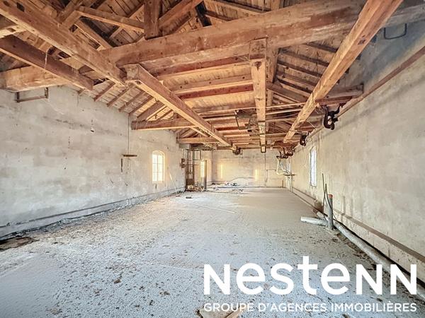 A vendre : Ancien moulin comprenant 2 logements - PONT DE VEYLE