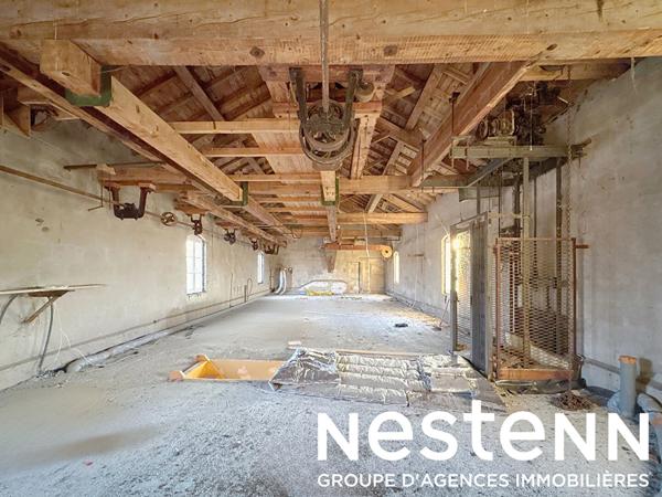 A vendre : Ancien moulin comprenant 2 logements - PONT DE VEYLE