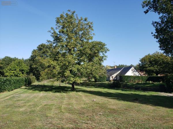 Terrain à Batir à vendre à Pruniers-en-Sologne dans le Loir-et-Cher (41200), ref : 41036/2741