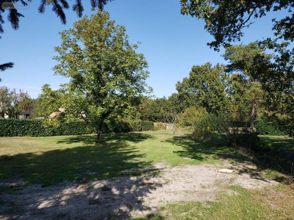 Terrain à Batir à vendre à Pruniers-en-Sologne dans le Loir-et-Cher (41200), ref : 41036/2741