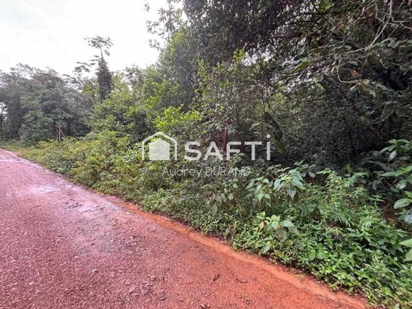 TERRAIN SOUMIS AU RNU