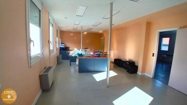 Vente Immeuble 18 pièces 875 m2 à Mazamet