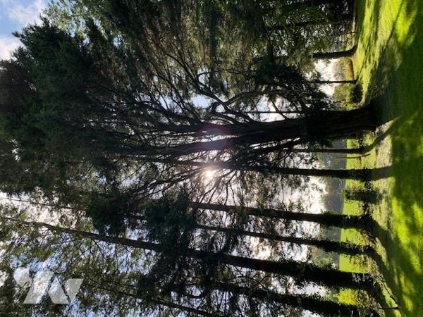 Maison principale d’env. 177 m² avec dépendances sur un terrain de 5.790 m².