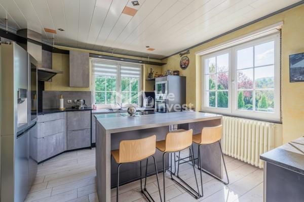 Maison 6 pièces avec dépendances et piscine