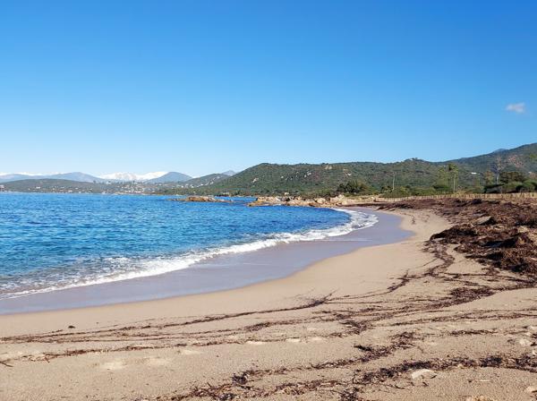 VILLA F5 VUE MER - PORTICCIO  Porticcio (20166)