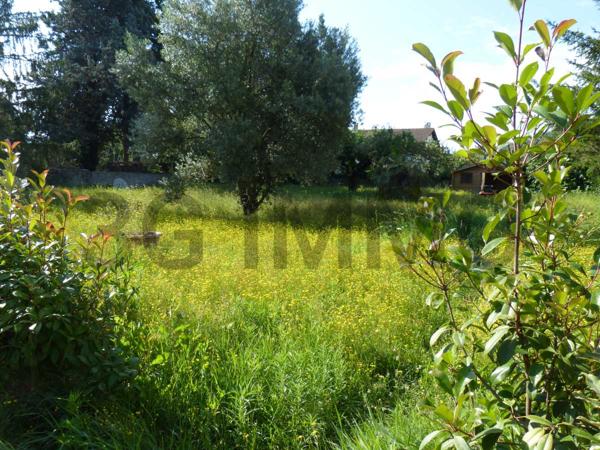 Vente murs / Local Commercial