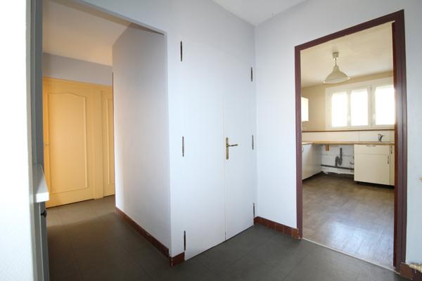 BEL APPARTEMENT LUMINEUX PARC DE MOINE