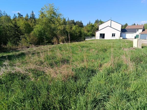 Terrain constructible déjà viabilisé