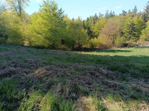 Terrain constructible déjà viabilisé