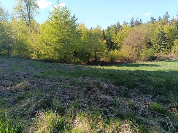Terrain constructible déjà viabilisé