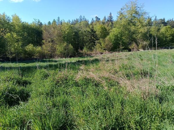 Terrain constructible déjà viabilisé