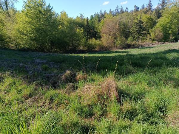 Terrain constructible déjà viabilisé