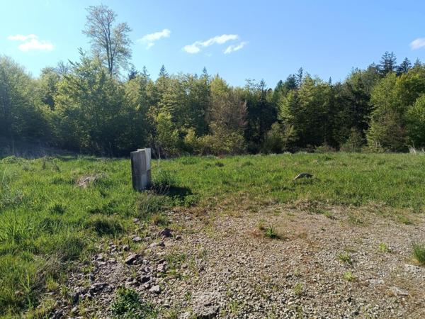 Terrain constructible déjà viabilisé