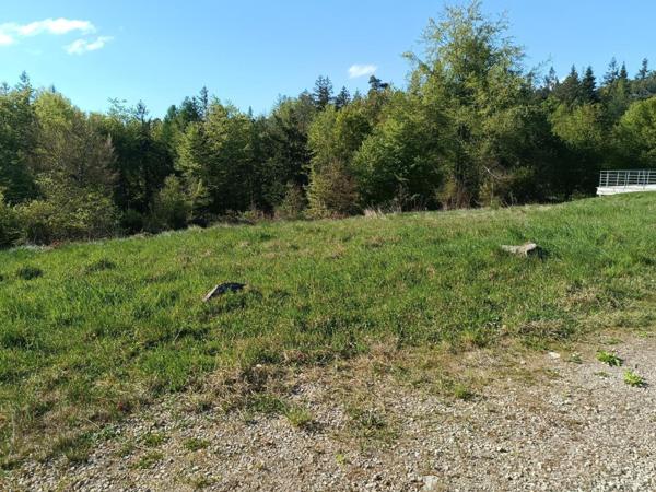 Terrain constructible déjà viabilisé