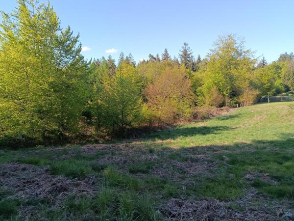 Terrain constructible déjà viabilisé