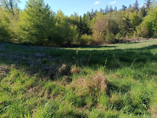 Terrain constructible déjà viabilisé