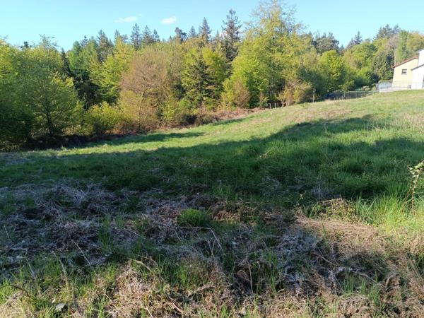 Terrain constructible déjà viabilisé