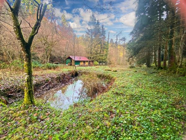 Terrain + cabane + lac naturel  , Willer sur THUR 68760