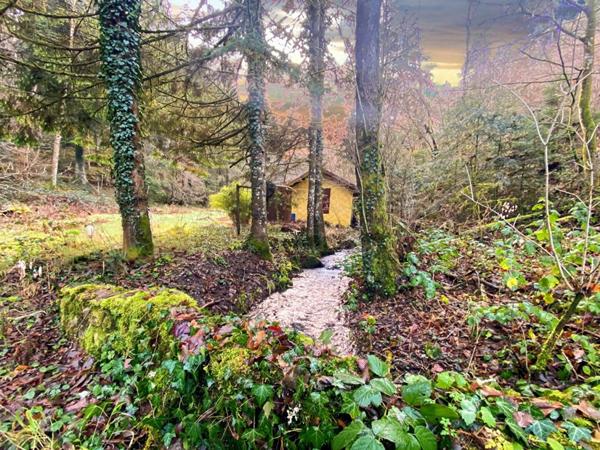 Terrain + cabane + lac naturel  , Willer sur THUR 68760