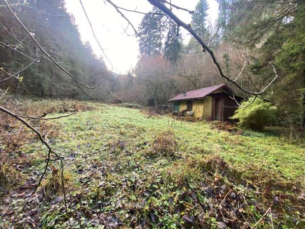 Terrain + cabane + lac naturel  , Willer sur THUR 68760