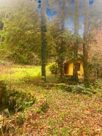 Terrain + cabane + lac naturel  , Willer sur THUR 68760