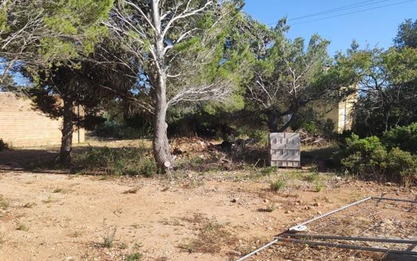 Terrain à vendre    La Palme