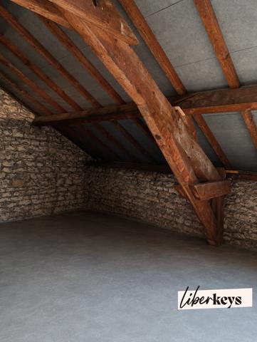 EXCLUSIVITÉ - APPARTEMENT - T3 - TOURNUS 71700