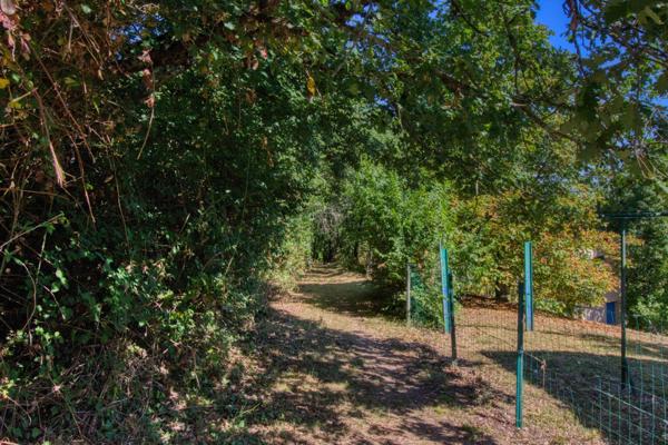 Maison à rénover sur plus d'un hectare près d'Albi