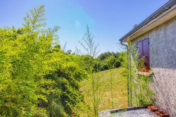 Maison à rénover sur plus d'un hectare près d'Albi
