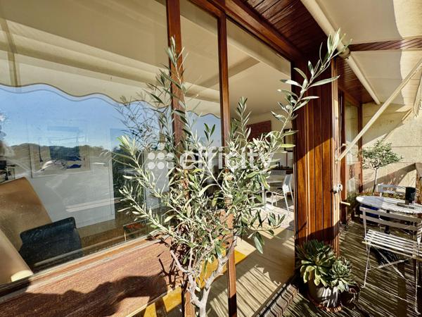 Appartement 3 pièces - 74 m² Exclusivité efficity