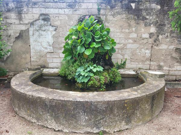 Châteaurenard (13160) Demeure bourgeoise sur 950 m2 de terrain avec piscine et appartement