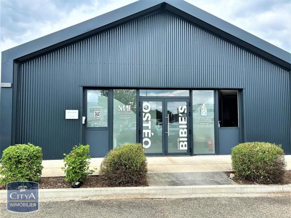 Local professionnel à louer