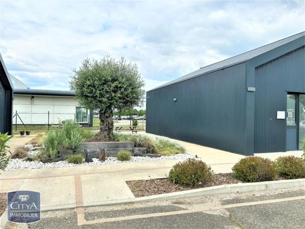 Local professionnel à louer