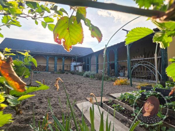 Maison de charme avec piscine et dépendance