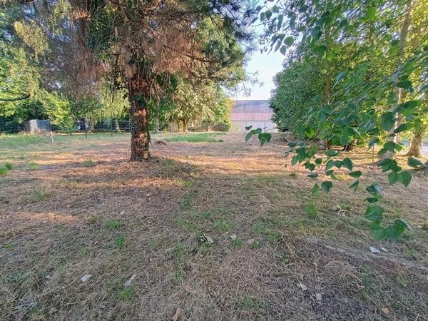 Terrain à Batir de 590 m2, ombragé