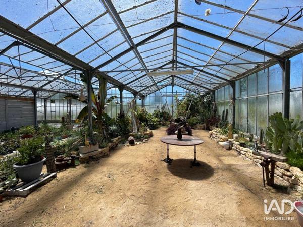 Local d’activité à vendre 30 000 m² Saint-Denis-d'Oléron