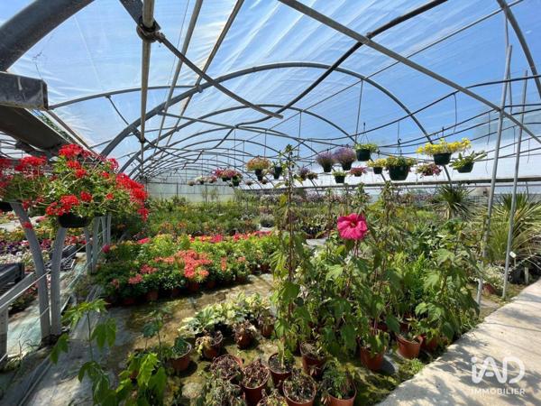 Local d’activité à vendre 30 000 m² Saint-Denis-d'Oléron