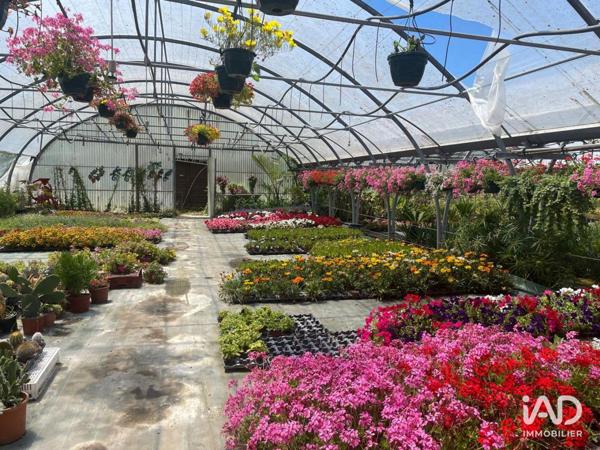 Local d’activité à vendre 30 000 m² Saint-Denis-d'Oléron