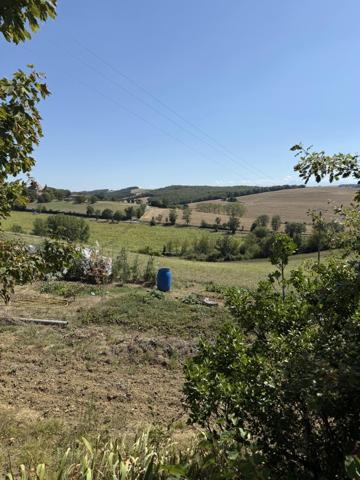 Vente / Terrain