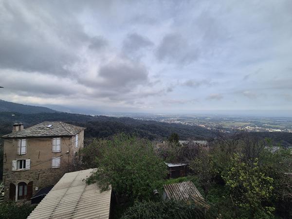 Appartement Venzolasca 3 pièce(s) 53 m² + 1 cave 22 m²