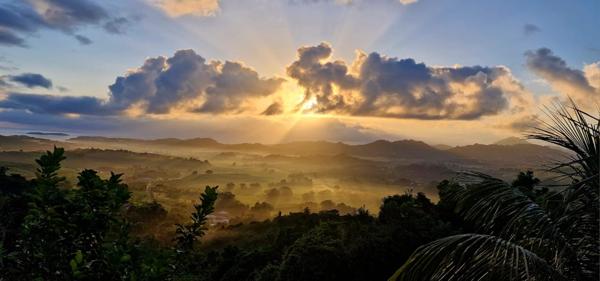 Immeuble  rénové Le Francois 5 pièce(s) 86 m2 - vue mer