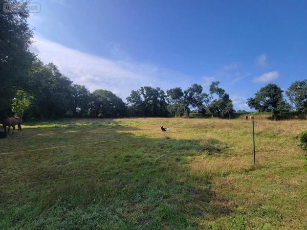 Maison à vendre à Spézet dans le Finistère (29540), ref : 56071-2584