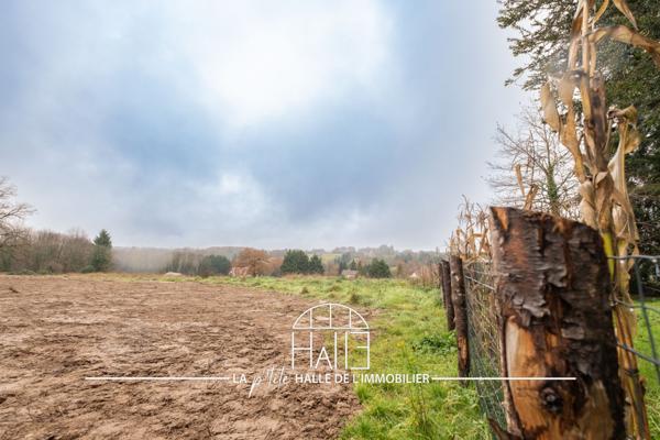 Maison 6 pièces - 146 m² Exclusivité efficity