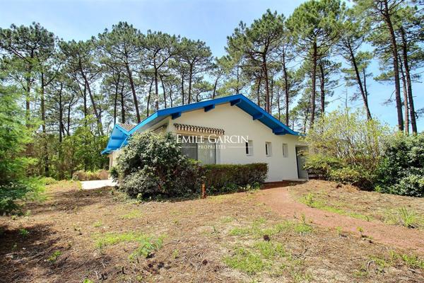 à vendre proprieté seignosse