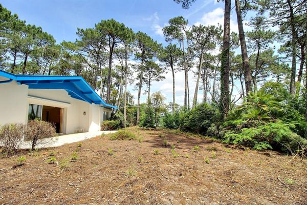 à vendre proprieté seignosse