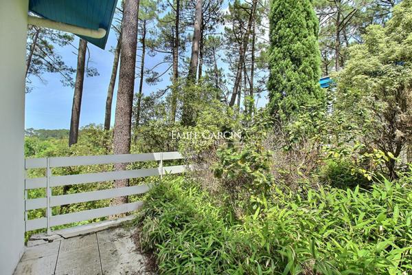 à vendre proprieté seignosse
