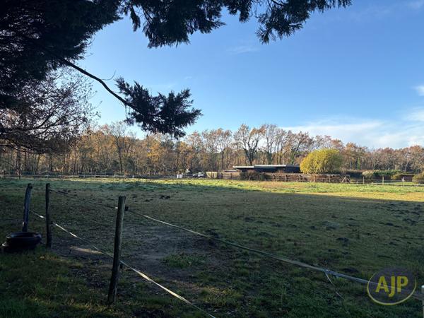 Vente terrain Audenge : 249 000 € - AJP Immobilier Audenge