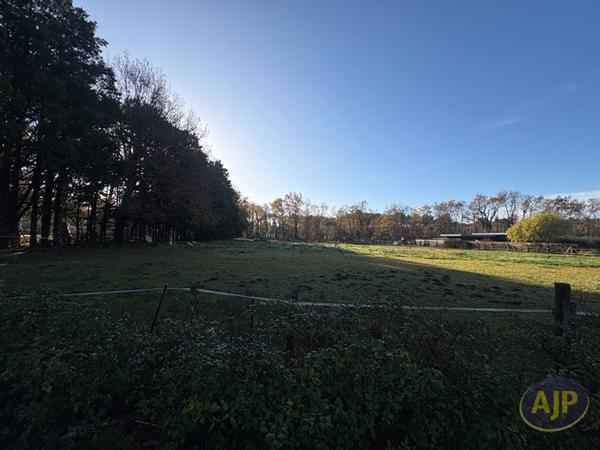 Vente terrain Audenge : 249 000 € - AJP Immobilier Audenge