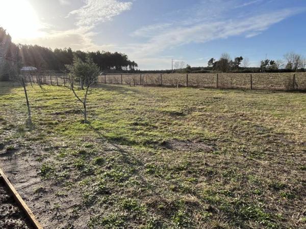 Maison à louer |  Castets |  4 pièces | 119 m²